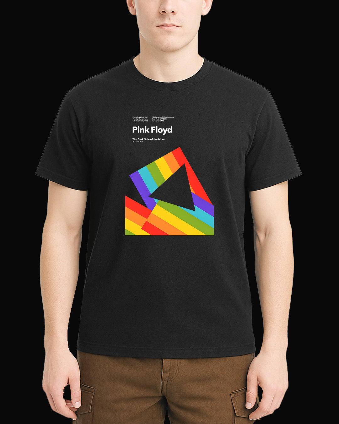 Pink Floyd Dark Side of the Moon Siyah Tişört V6